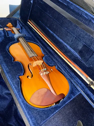 Violino Eagle VK-144