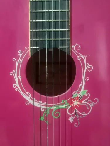 Novíssimo Violão Tagima