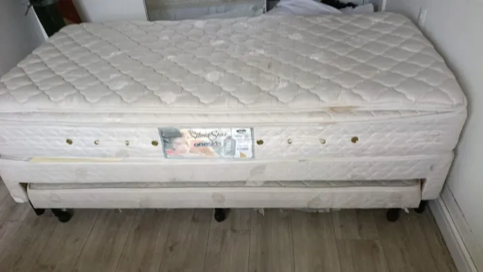 Cama Box castor com cama adicional solteiro