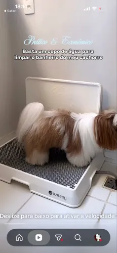 Banheiro Inteligente para cachorro - Weasy Cão