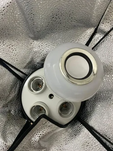 Mine cenário pra tirar foto