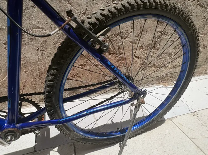 Bicicleta Juvenil