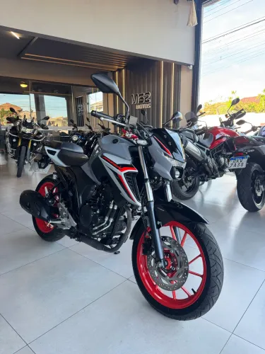 FZ 25 2026