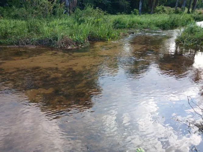 VENDO CHÁCARA NO SAO RAIMUNDO DO MUJU 50x200 COM IGARAPÉ