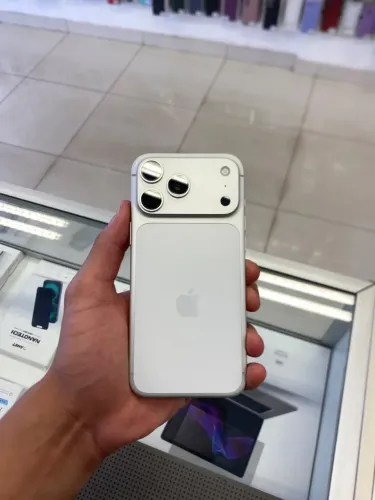17 PRO MAX SILVER