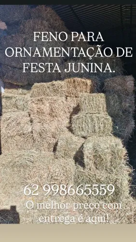 Feno para ornamentação de festas juninas 