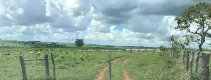 CÓD. 490  FAZENDA DE 1126 HECTARES À VENDA  CAMAPUÃ- MS