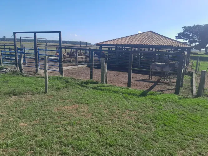 fazenda de Oportunidade