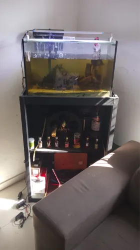 Vendo aquário com a bancada mini bar. Filtro automático 