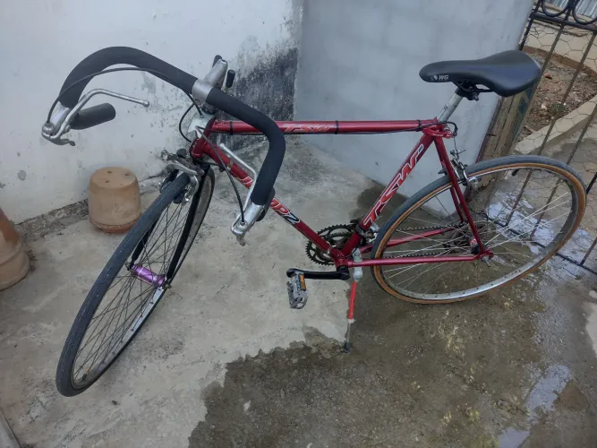 Monark 10