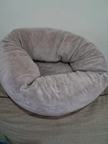Caminha pet bichinho chic