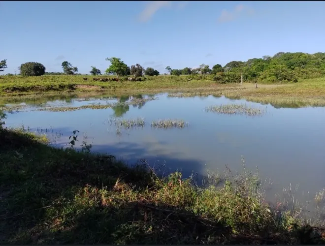 VENDO FAZENDA! - Município: Formoso / MG - Região: Piratinga