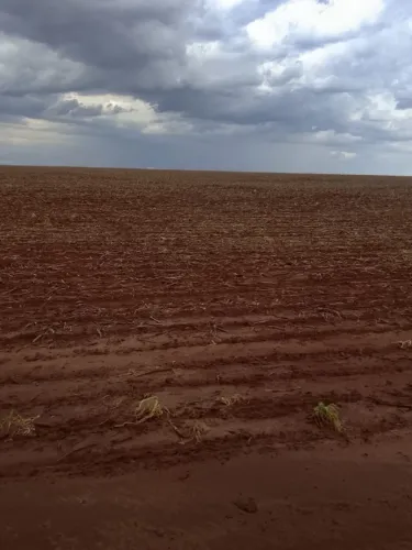 Fazenda em Juti MS