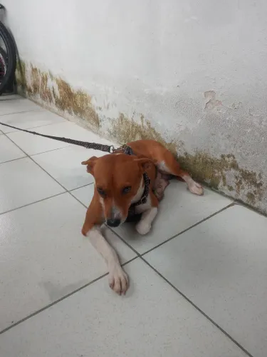 doaçao