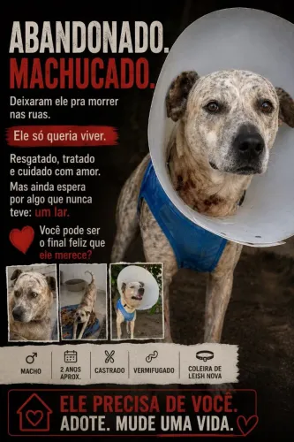 Cachorro Abandonado
