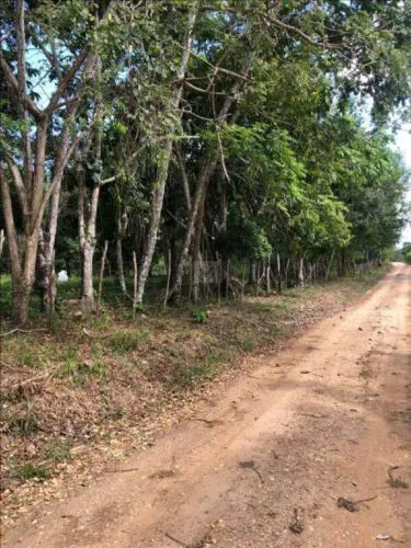 Terreno Rural / Sítio de 18.150 m² em Nossa Senhora do Socorro SE