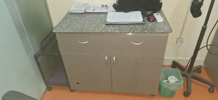 Mesa e Armários para Banho e Tosa