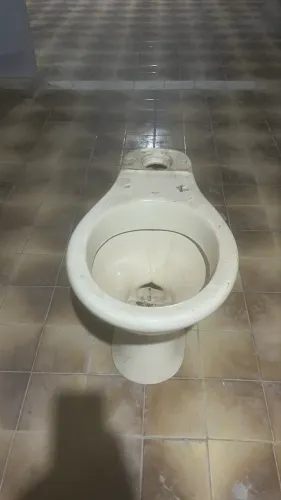 Vaso sanitário para descarga acoplada sem a descarga acoplada