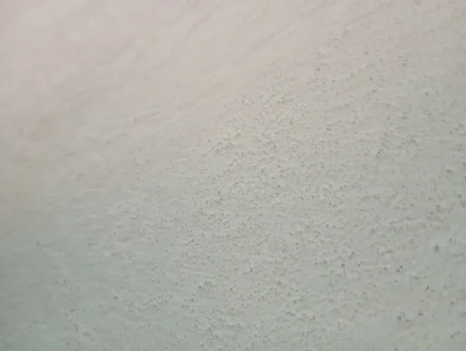 Faço serviços de pintura e pedreiro 
