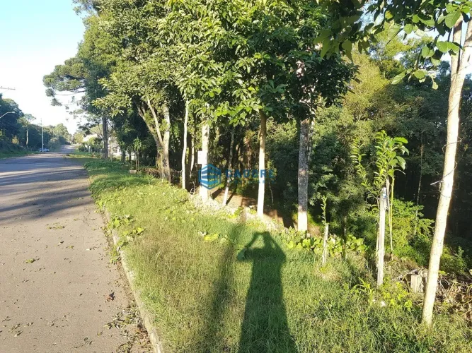 Terreno para residência indústria e comércio