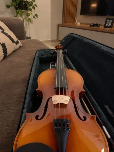 Violino Novo