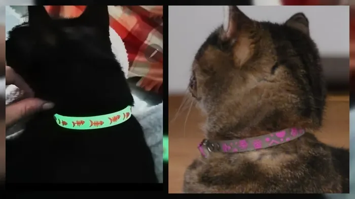 COLEIRA DE SILICONE PARA GATOS (BRILHA ESCURO)