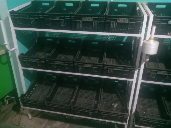 Expositor verduras 12 cx