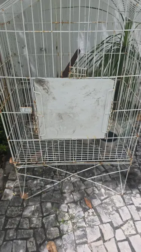 Gaiolas e viveiro para pássaros