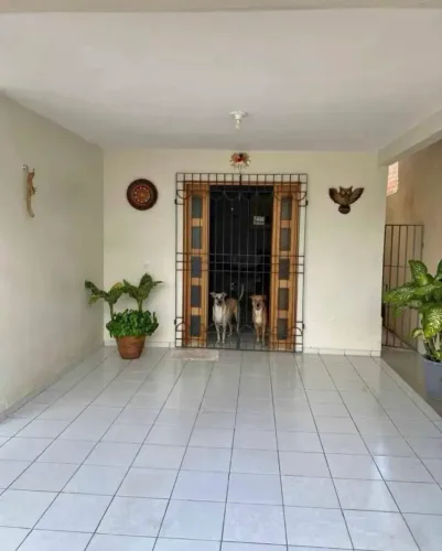 @Vendo na Cidade Nova - Já desocupada