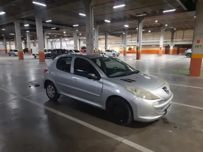 Peugeot 207 XR 1.4 Flex 8V 5P 2012
