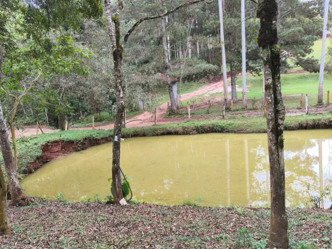 Chácara Rio Branco do Sul