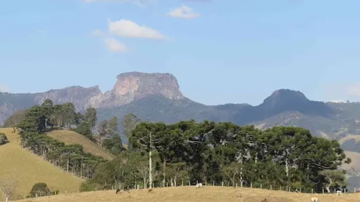 Área à venda, 47000 m² por R$ 999.000,00 - Zona Rural - Gonçalves/MG