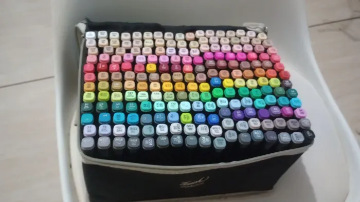 Canetas touch para pintar com duas pontas, 204 cores, usada poucas vezes