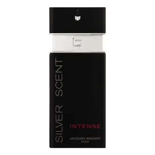 Perfume Silver Scent Intense Masculino 100ml Original Lacrado