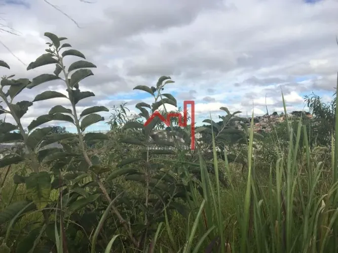 Lote, 1.800m², Buritis. Venda.