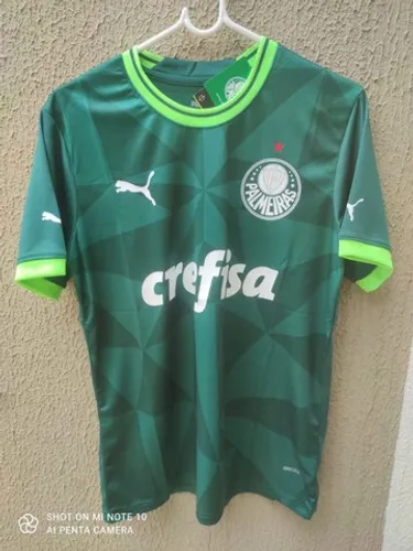 Camiseta de time palmeiras 