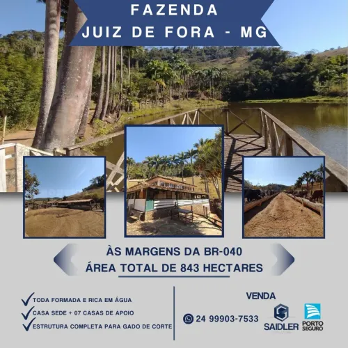 Fazenda em Juíz de Fora-MG, 843 hectares.