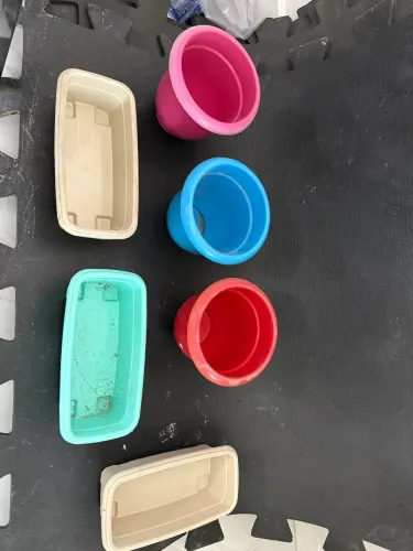 10 Vasos de planta