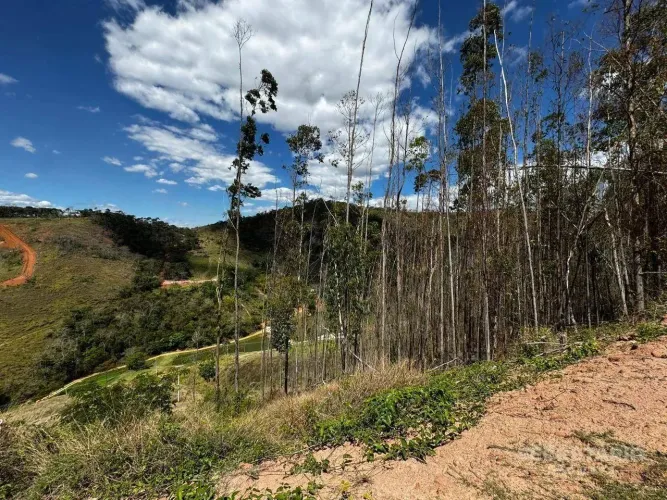 Farm Ville - Terreno à venda, 21690 m² por R$ 450.000 - Sebollas - Paraíba do Sul/RJ