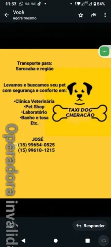 Táxi dog Sorocaba e região *