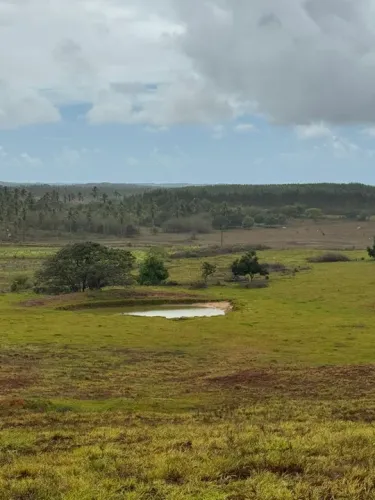 Fazenda em Estância a venda 