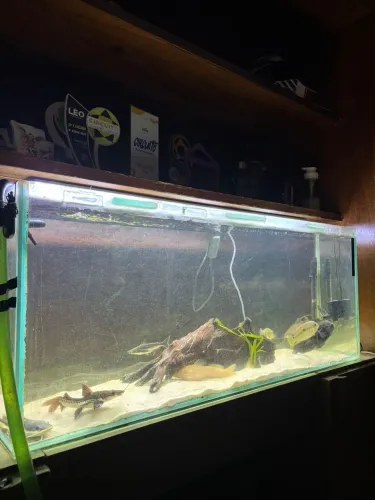 Aquário grande com Canister 