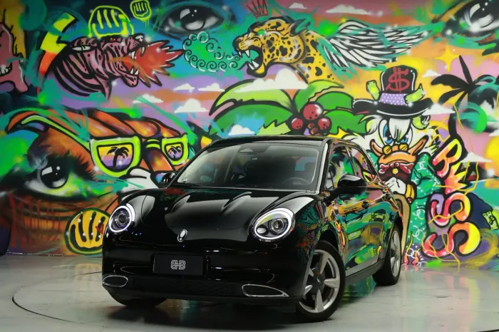 GWM Ora 03 Skin (elétrico) 2024