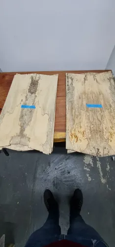 Topo ou tampo para guitarra madeira SPALTED com CURLY!
