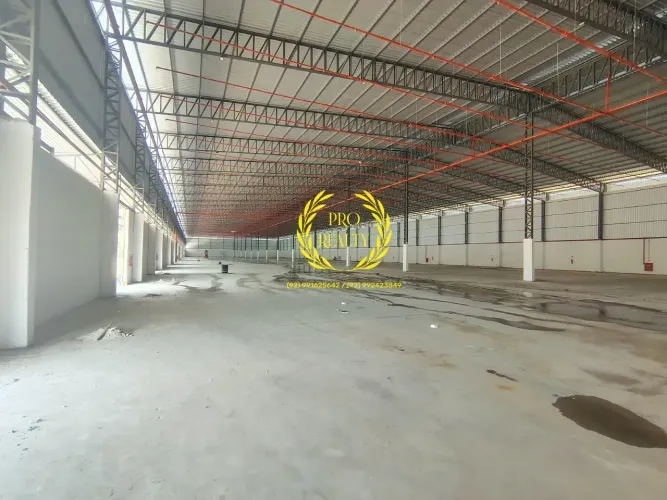 Galpão Torquato Tapajós - 16.000m²- 10m pé Direito - 24 Docas