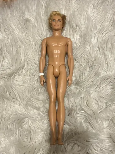 Ken fashionistas barbie