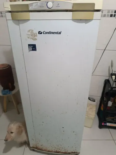 Geladeira funcionando perfeitamente 