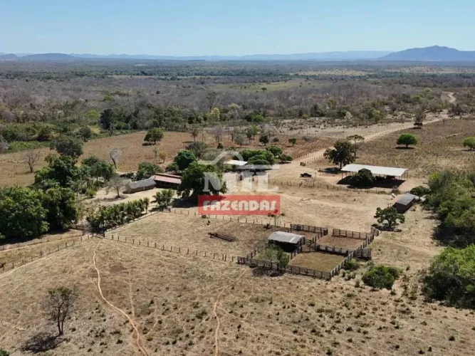 Fazenda 294 alqueires (1.422 hectares) Palmeirópolis - To