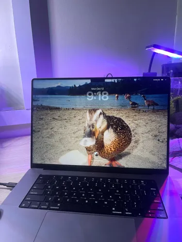 Mac book pro (Chip M1 pro)