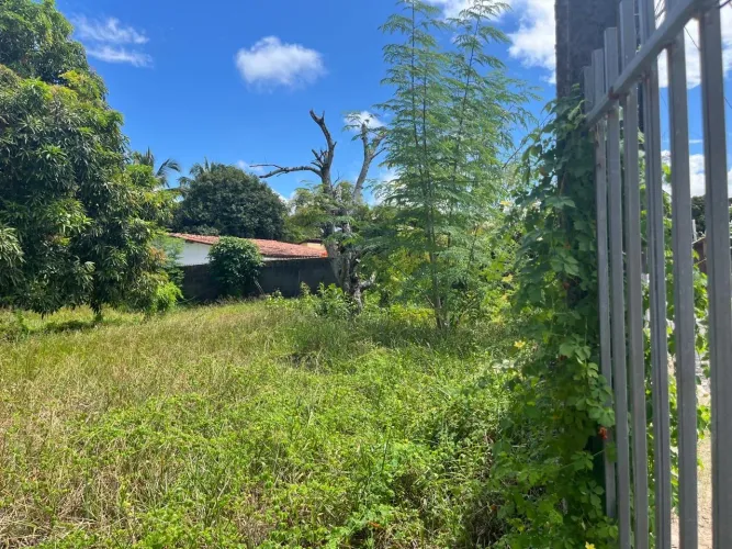 Terreno 532m² na Barra Nova - Grande Oportunidade | R$ 220.000